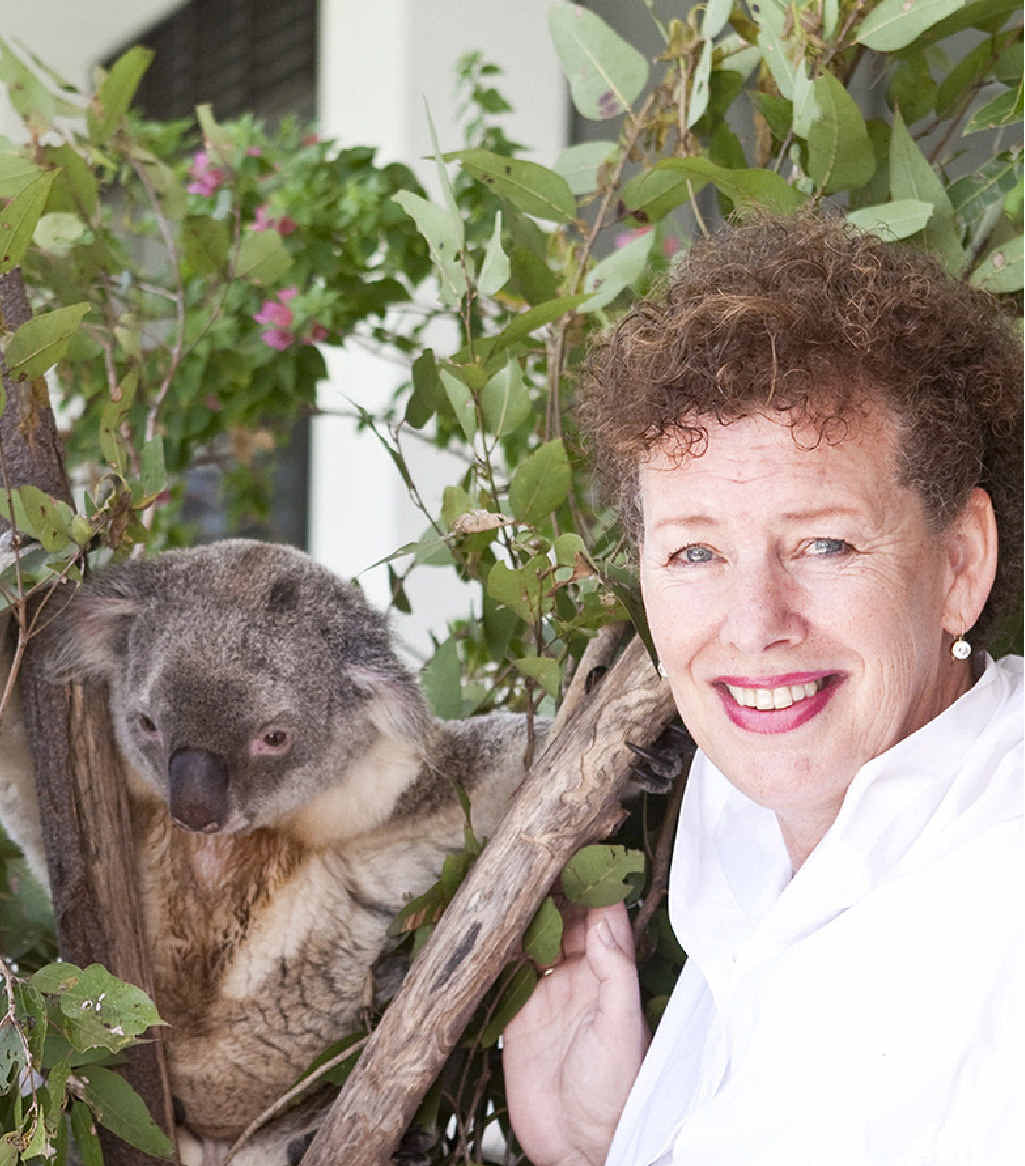 PLEA ON POLITICIANS: Australian Koala Foundation’s Deborah Tabart is calling for a Koala Protection Act. PLEA ON POLITICIANS: Australian Koala Foundation’s Deborah Tabart is calling for a Koala Protection Act.
